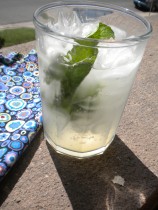 Sparkling water with lime_ Awesome